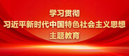 dajibagaobi网站学习贯彻习近平新时代中国特色社会主义思想主题教育_fororder_ad-371X160(2)